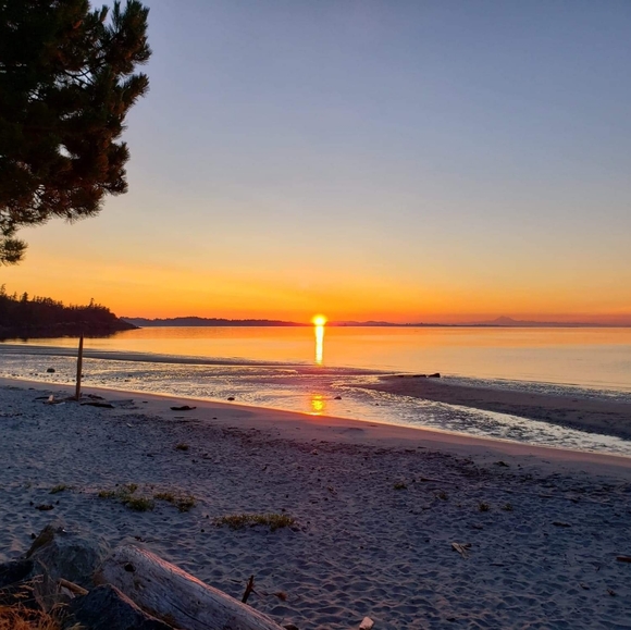 Meet your Posher, Liza - Picture 1 of 1